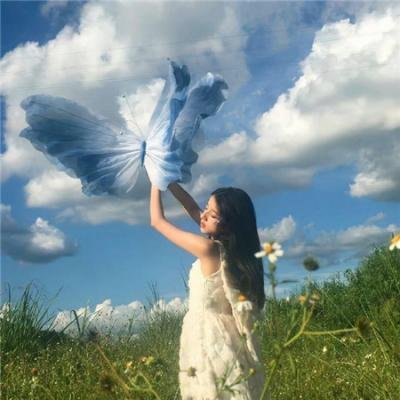 探险活宝第八季